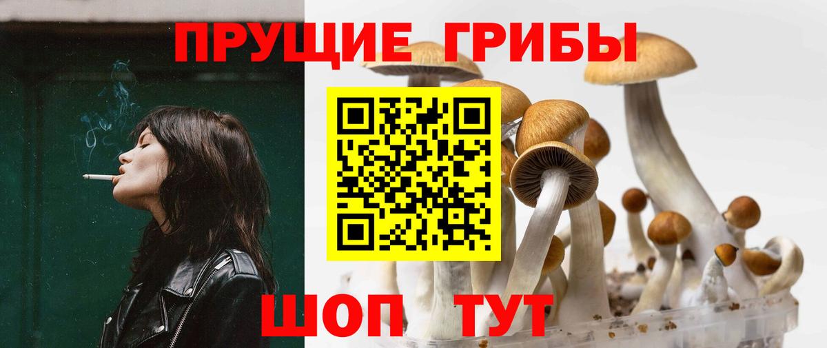 Псилоцибиновые грибы GOLDEN TEACHER  где купить   Ейск  Псилоцибиновые грибы прущие грибы  Вход с VPN 