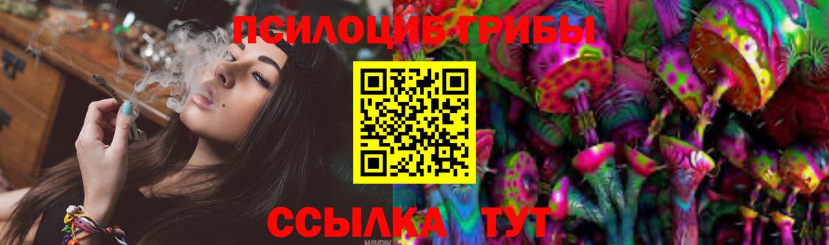 Псилоцибиновые грибы Psilocybe Ейск